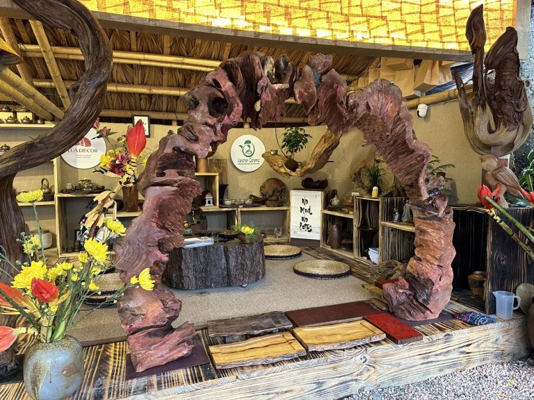 Dia tang phi lai tu 1