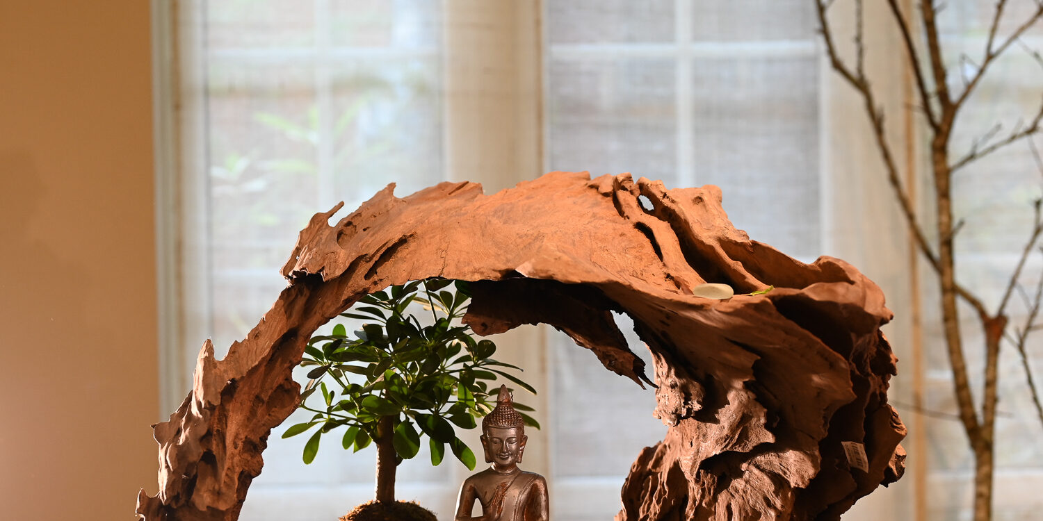 tieu canh ngoc reu 3