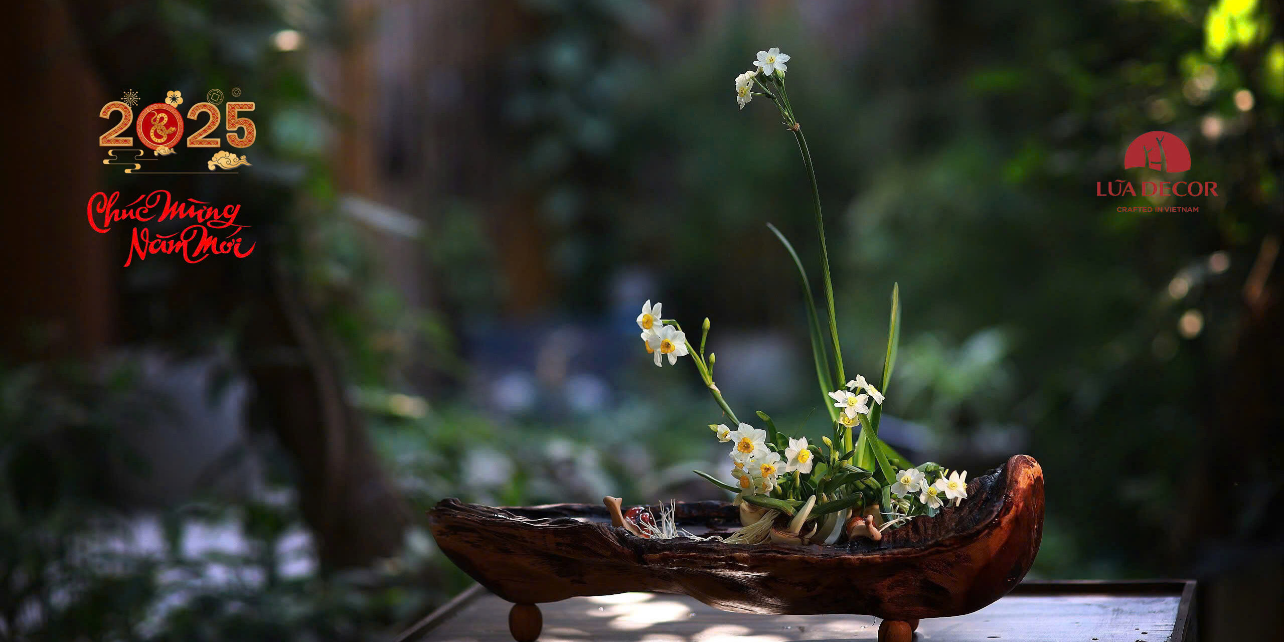 z6248648846514_8497705a788057d64890ecde78bd2c30