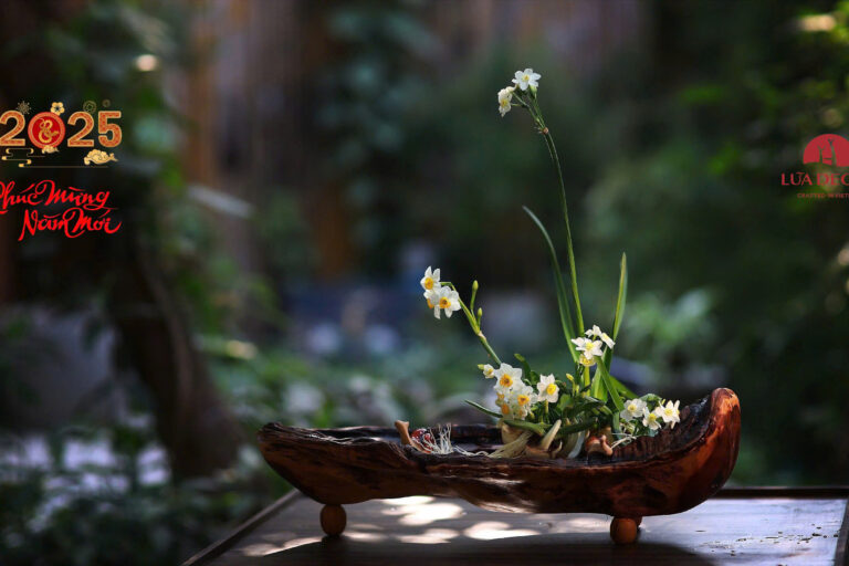 z6248648846514_8497705a788057d64890ecde78bd2c30