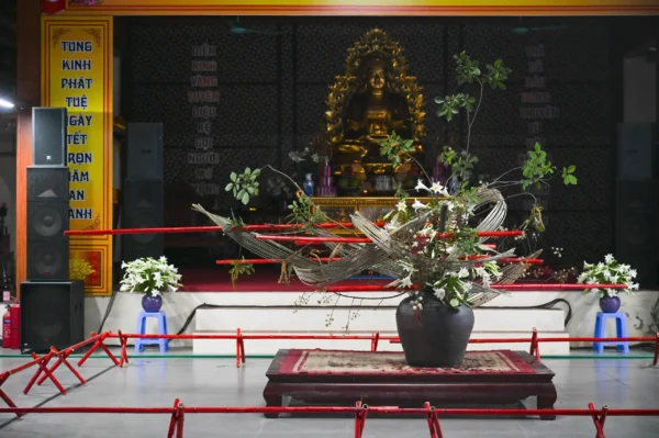 SK Chua dau 8