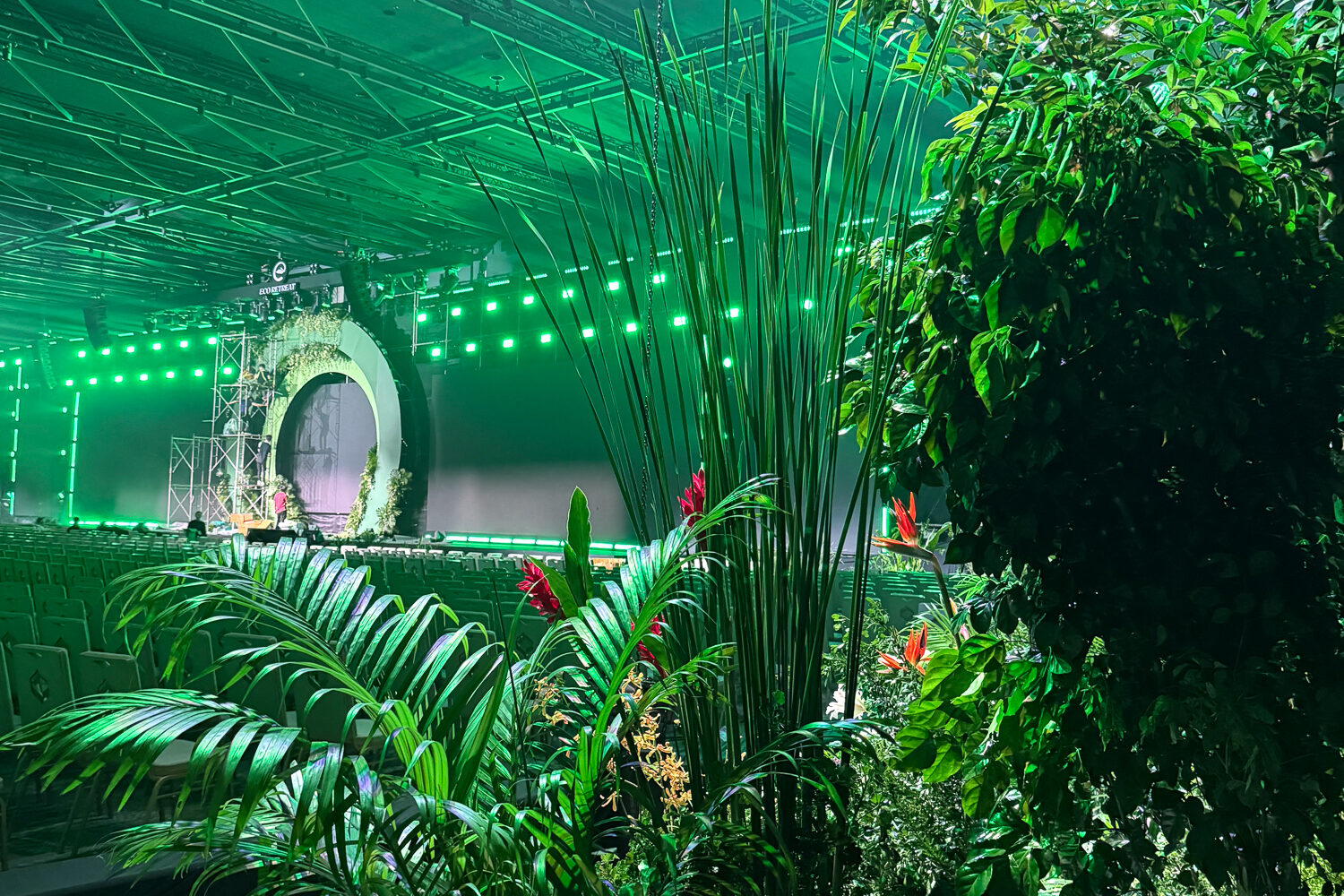 tac pham rung la nha 3