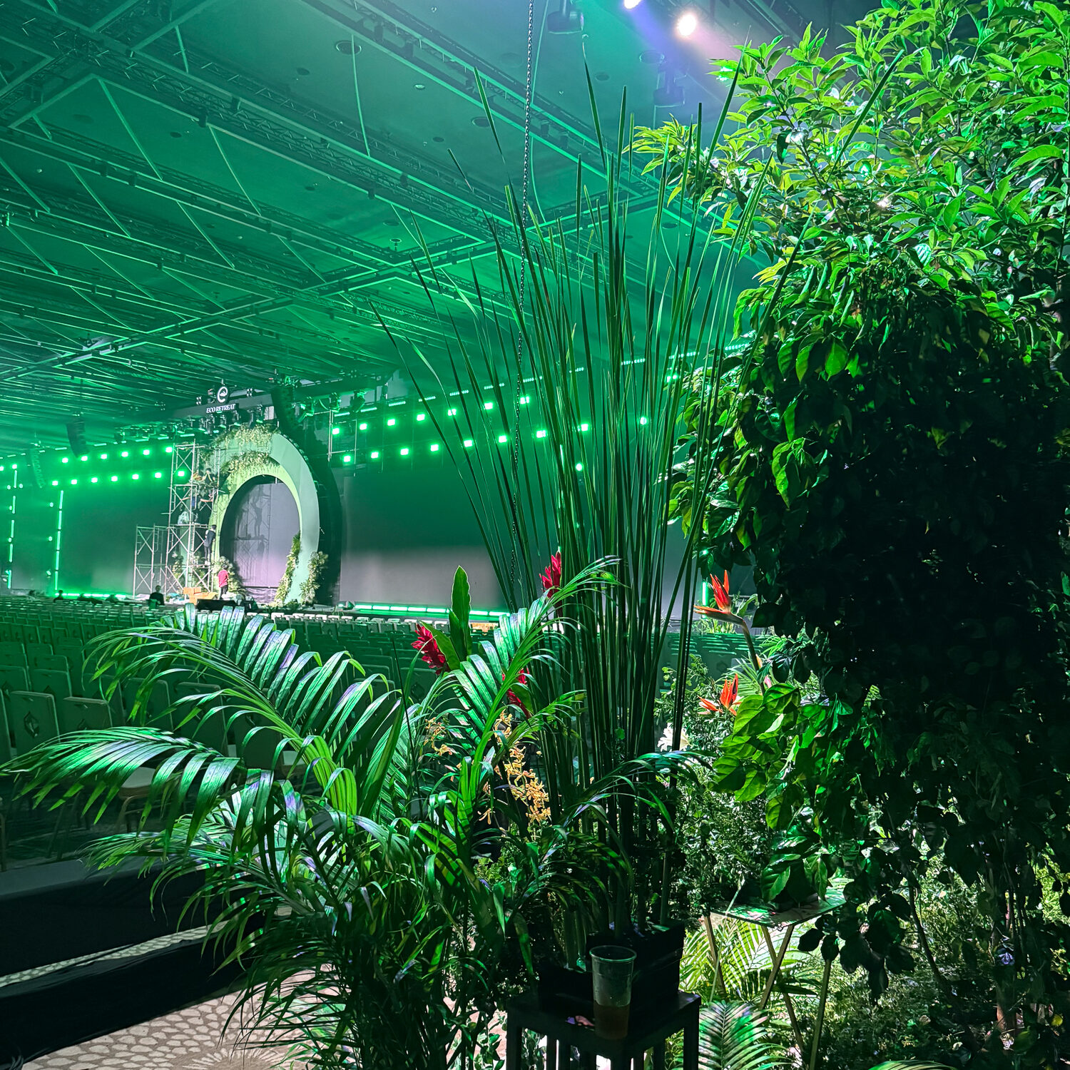 tac pham rung la nha 3