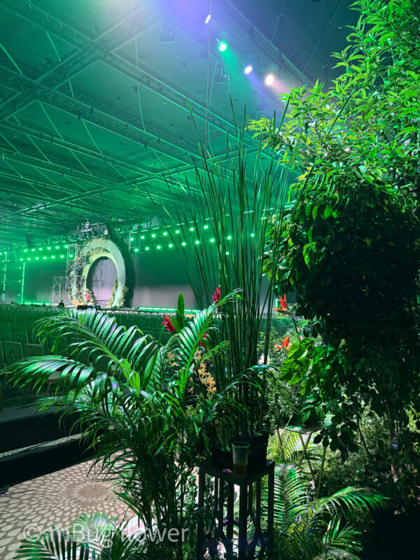 tac pham rung la nha 3